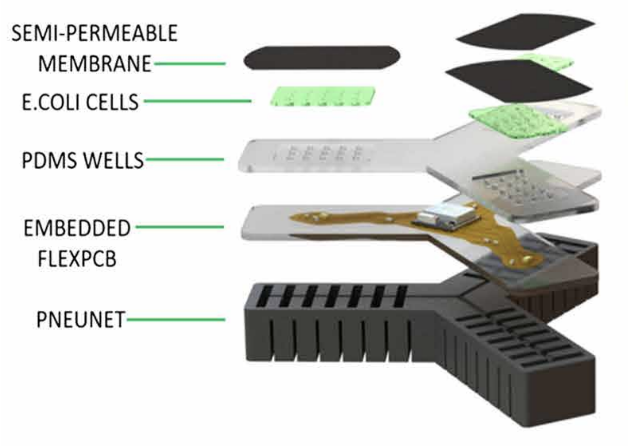 biosensing.png